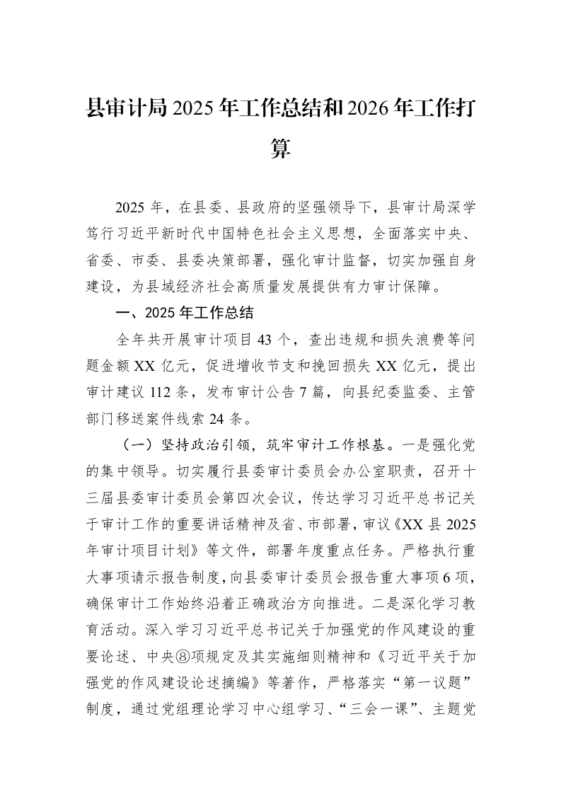 县审计局2025年工作总结和2026年工作打算